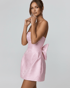 Blush Mini Dress