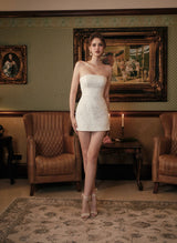 LOUIS LACE DRESS